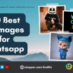 dp images for whatsapp