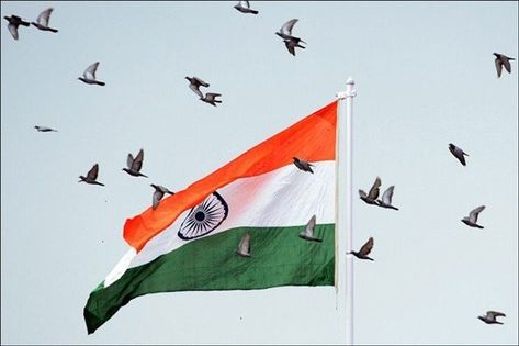 Indian Flag images