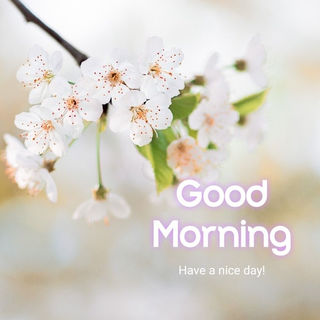 good morning pictures HD