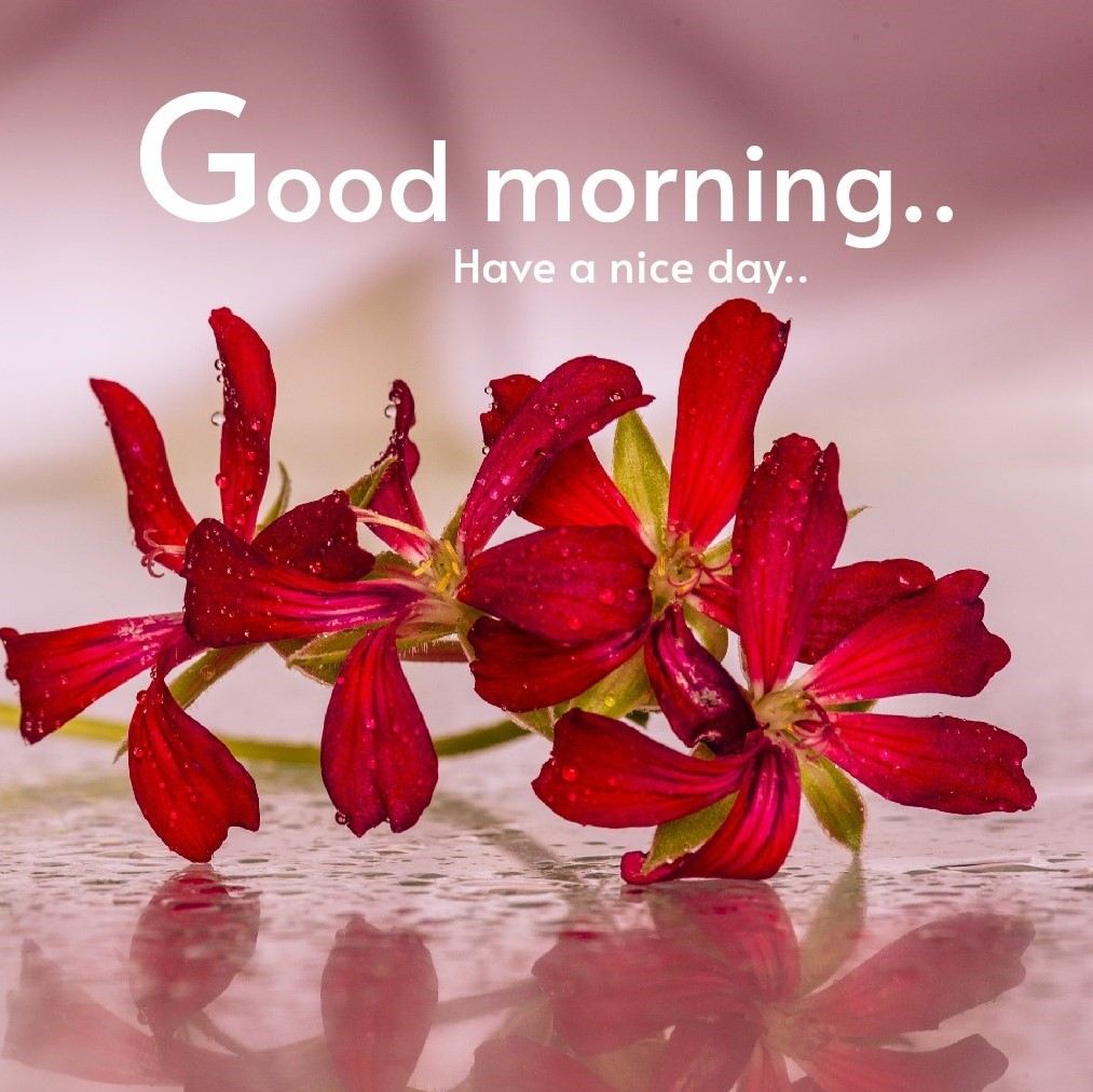 Good Morning greetings Images