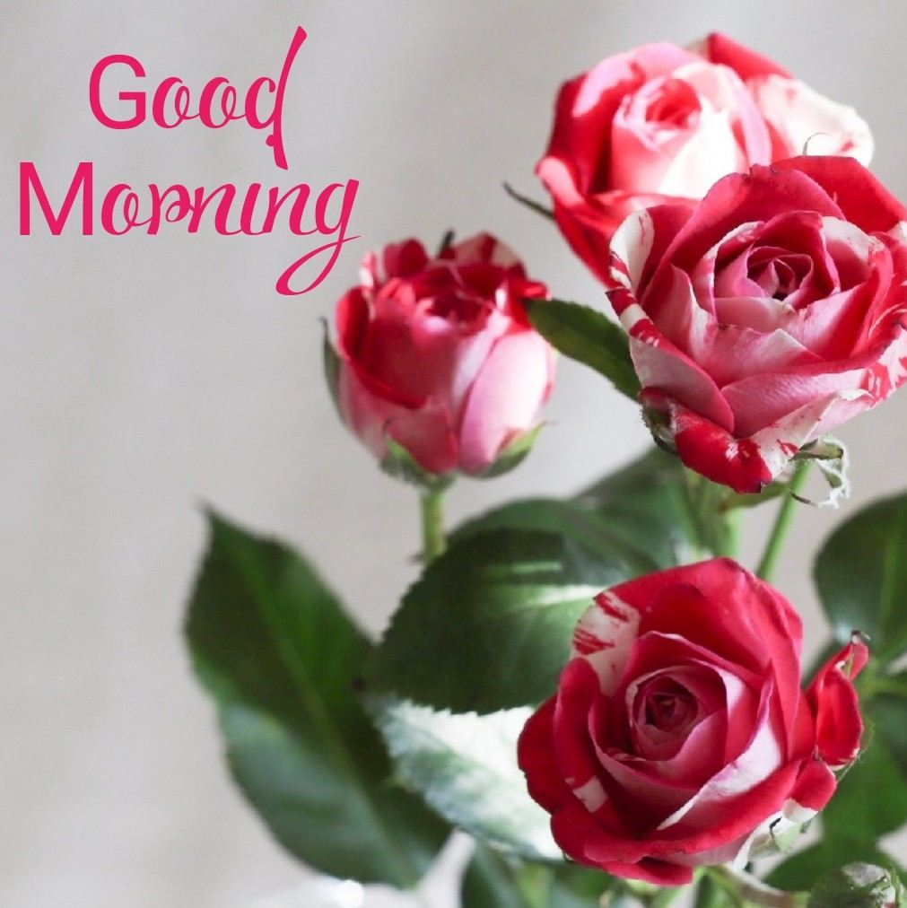 Good Morning Images with flowers