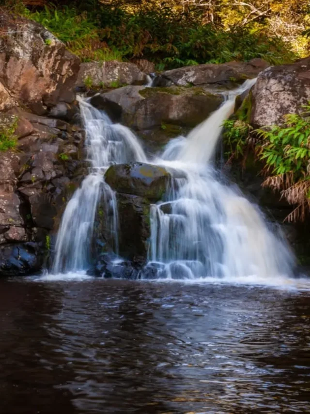 Waterfall Hikes in Kauai for Adventure Seekers